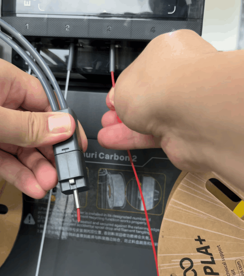 image11.gif