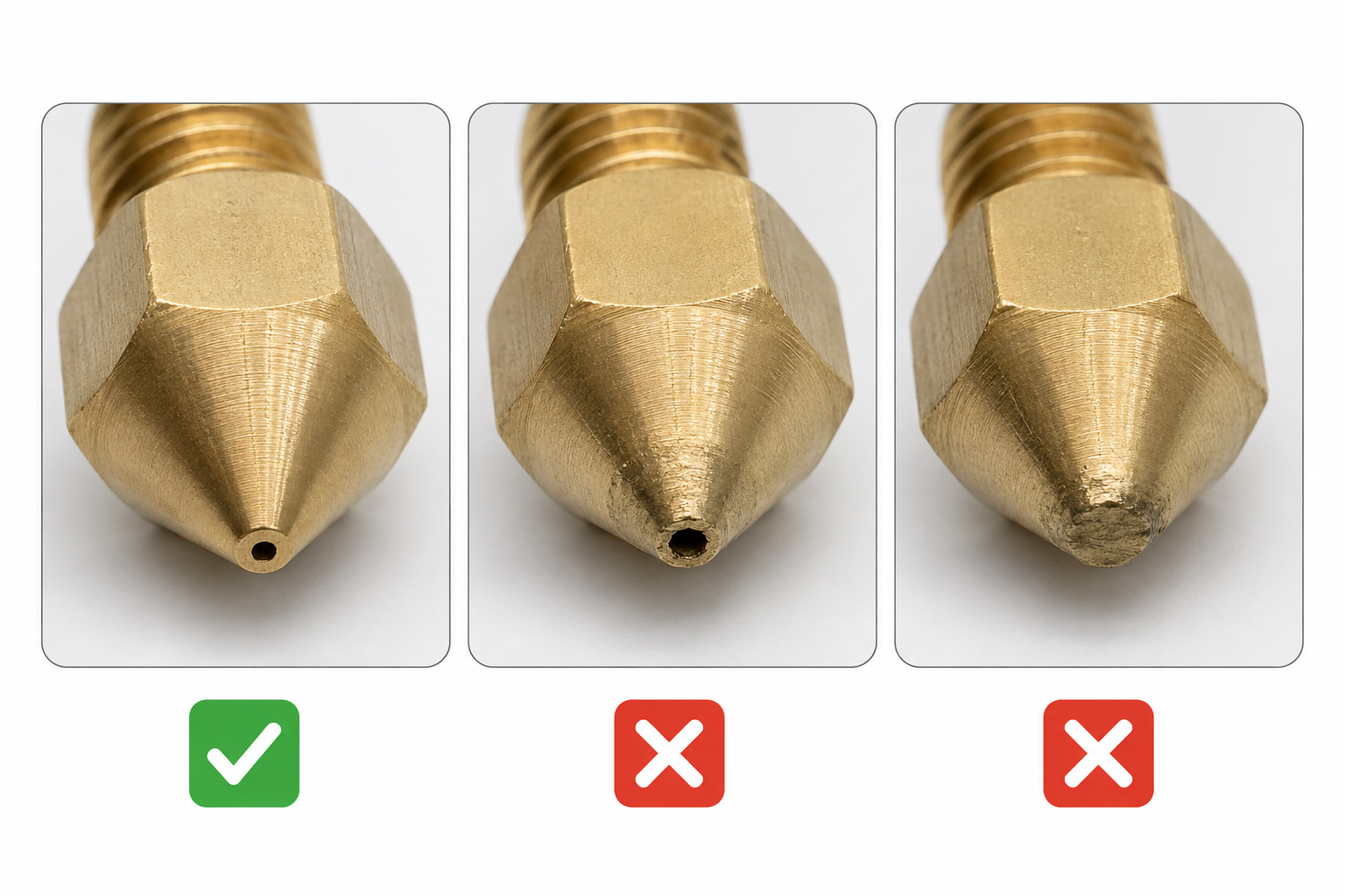 image1.png