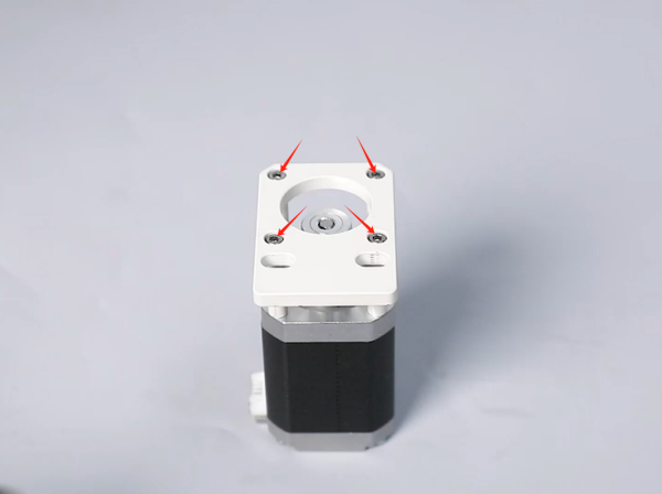 image6.png