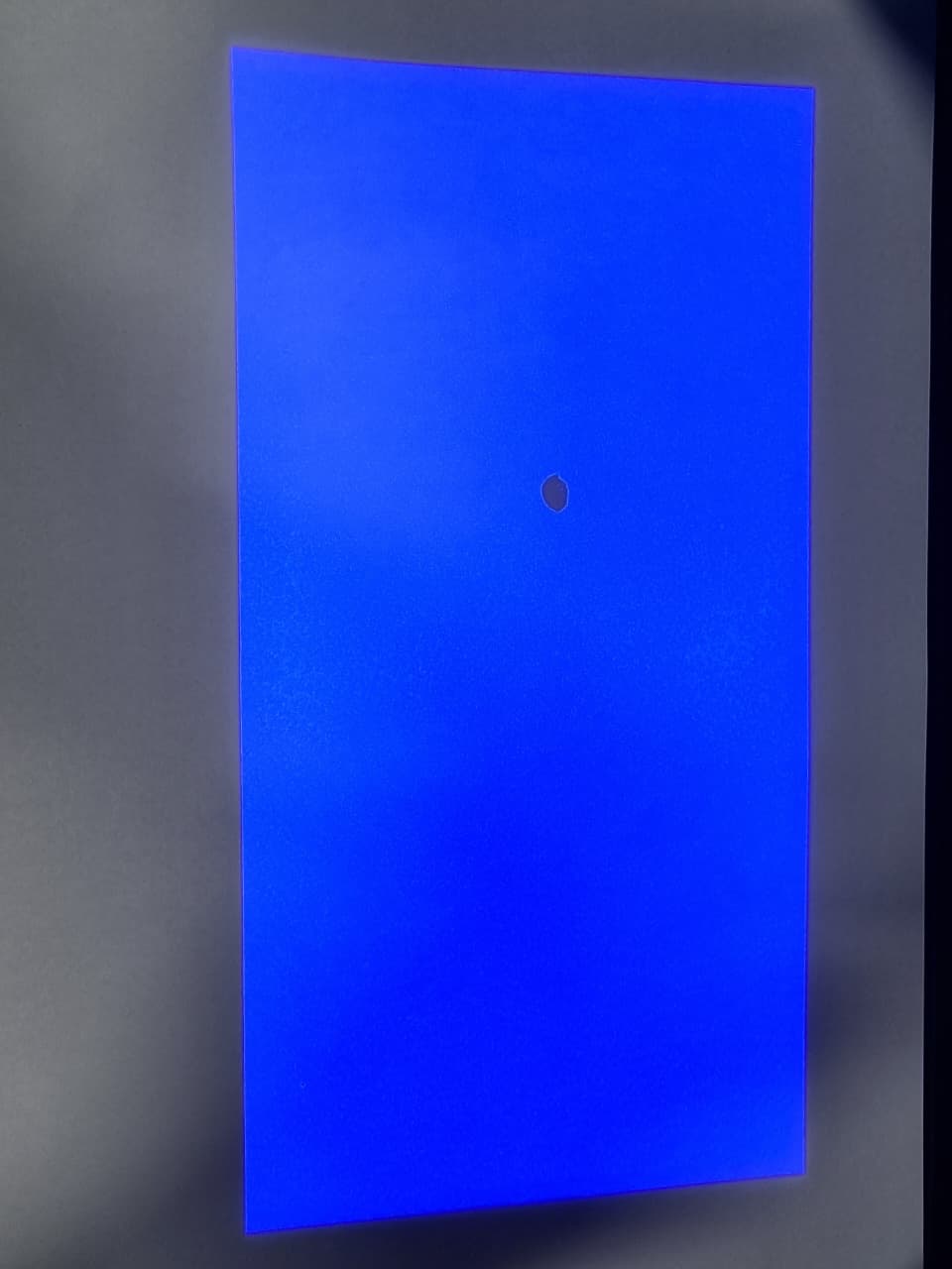 image3.jpeg