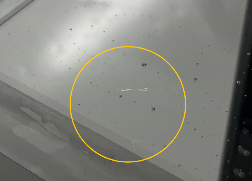 image6.png